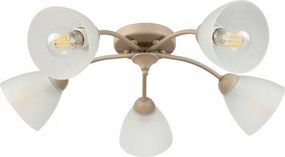Lampa sufitowa Arco 5-punktowa Beżowa E27 transparentne klosze