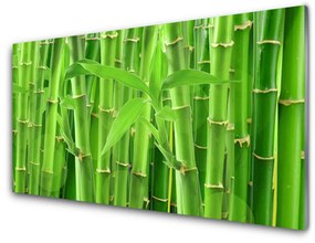Modern üvegkép Bamboo Stem Flower Plant 120x60cm