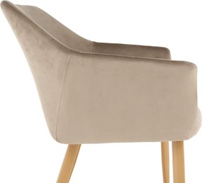 Szék, szövet Taupe szürke-barna/bükk, ODOVEL