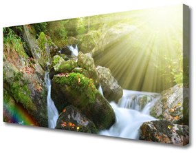 Vászonfotó Rainbow Waterfall Nature patak 100x50 cm