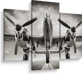 Kép - Warbird (90x60 cm)