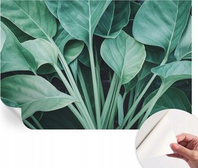 Dekoratív öntapadós fotótapéta Hálószobába Zöld természet 104x70 cm