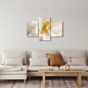 Kép - Virág (90x60 cm)