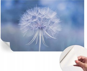 Öntapadós tapéta 3D fali furnér Kék finomság 416x254 cm