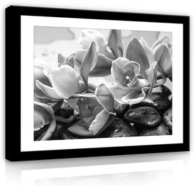 Vászonkép, Fekete-fehér virág, 100x75 cm méretben