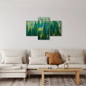 Kép - fenyőerdő (90x60 cm)