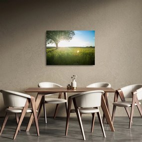 Egy fa képe a mezőn (üvegen) (70x50 cm)