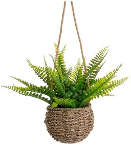 Haraszt műnövény (magasság 25 cm) – Casa Selección