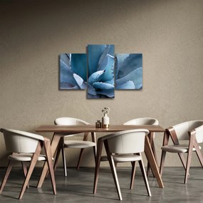 Kép - Agave (90x60 cm)