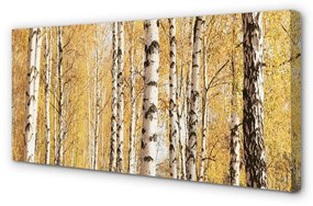 Canvas képek őszi fák 100x50 cm