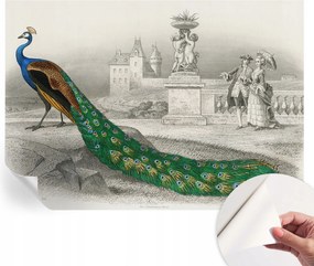 Fotótapéta Fali tapéta Hálószobába és Nappaliba Színes tollak 208x146 cm