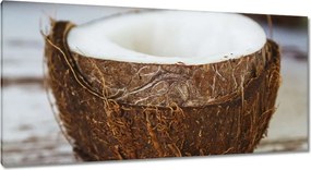 Vászonkép 115x55 Kókuszdió Bronz