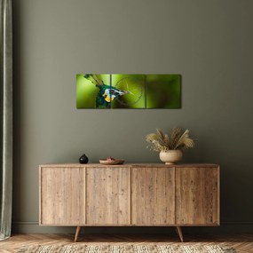 Páva képe (órával) (90x30 cm)