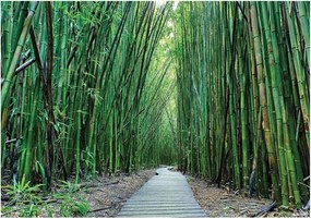 Fotótapéta Bambusz Erdő Sikátor Hálószoba Flizelin Tapéta 368x254