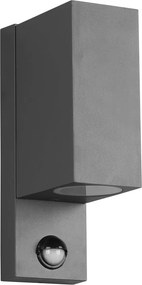 Fali kültéri lámpa (magasság 22 cm) Roya – Trio