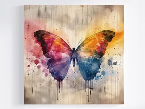Poszter Akvarell Rovar Színes Pillangó Retro Vintage 40x40