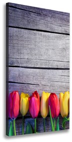 Vászonkép nyomtatás Színes tulipán ocv-103218042