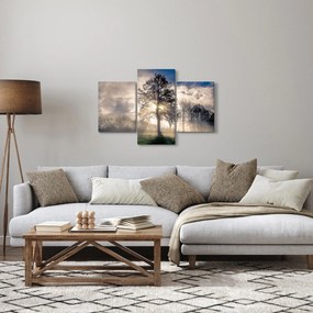 Fa a ködben képe (90x60 cm)