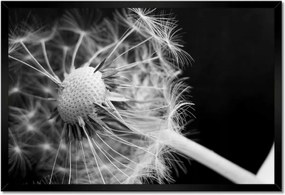 Poszterek keretben 60x40 Pitypang Virág Virágok