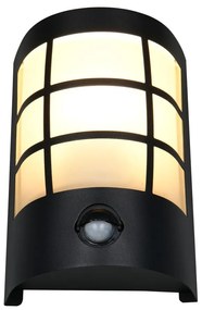 Fali kültéri lámpa (magasság 20 cm) Sintra – Trio