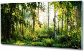 Fénykép üvegfestmény Reggeli nap erdő 100x50