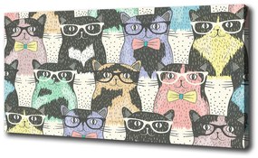 Vászonkép Macskák szemüveg oc-58024892