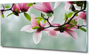 Fotó kép edzett üveg Monstera 100x70