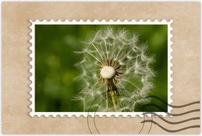 Poszterek 120x80 Pitypang Virág Virágok