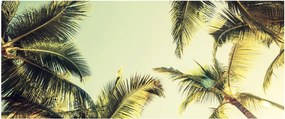 Kép kókuszpálmával (120x50 cm)