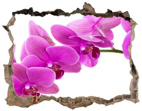 3d-s lyukat fali matrica Rózsaszín orchidea nd-k-67691978