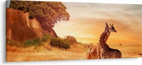 Kép - Zsiráfok Afrikában (120x50 cm)