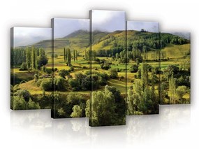 Vászonkép 5 darabos, Erdők mezők 100x60 cm méretben
