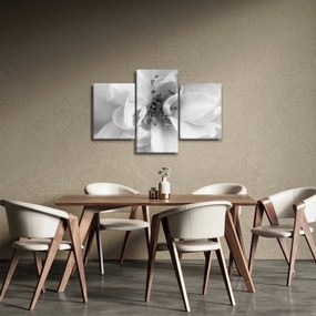 Kép - Virág, fekete-fehér (90x60 cm)