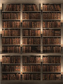 Fotótapéta flizelina Könyvespolc könyvtár 206x275 mélységhatás +ragasztó