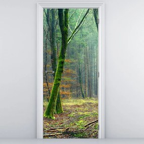 Fotótapéta ajtóra - Erdő (95x205cm)