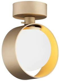 Argon 8567 - Fürdőszobai fali lámpa MASSIMO PLUS 1xG9/6W/230V arany