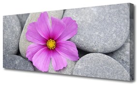Vászonfotó Spa virág növény 120x60 cm