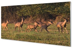Akrilkép Deer Golf napkelte 140x70 cm