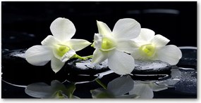 Fotó vászonkép edzett üveg Orchidea 140x70