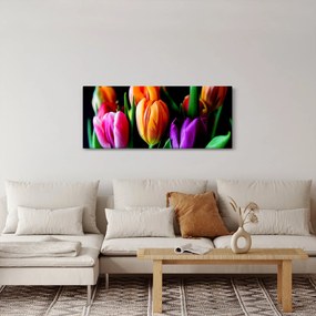 Tulipánok képe fekete alapon (120x50 cm)