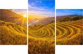 Kép - Rizs teraszok Vietnamban (90x60 cm)