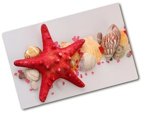 Üveg vágódeszka Starfish és kagylók pl-ko-80x52-f-75838454