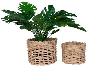 Penela kosarak, papír, natúr, 2db