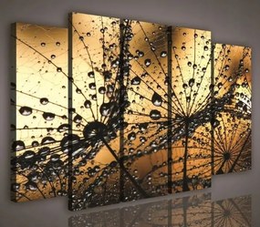 Vászonkép 150x100 Makro fotózás pitypang harmat cseppek víz természet részletek