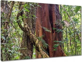 Festmények 120x80 Tájkép Látvány