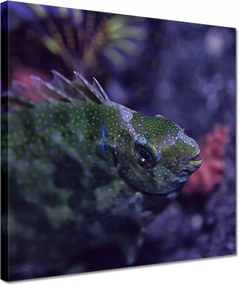 Vászonkép 30x30 Tengeri vízi ökoszisztéma