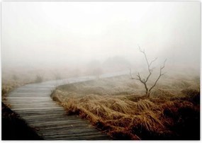 Poszterek 100x70 Reggeli fények