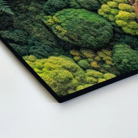 DUBLEZ | UV nyomtatott moha kép falra