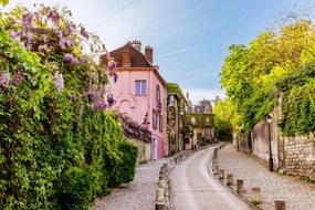 Fotográfia Street in Montmartre with blooming wisteria, Alexander Spatari