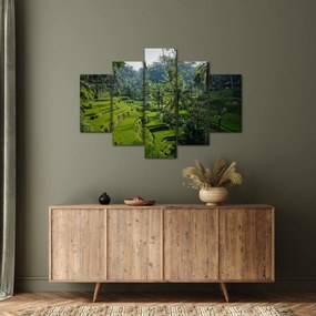 Kép a rizs teraszokról, Tegalalang, Bal (150x105 cm)